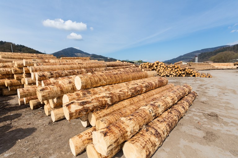 Evropska sredstva za rast podjetij na področju rabe lesa
